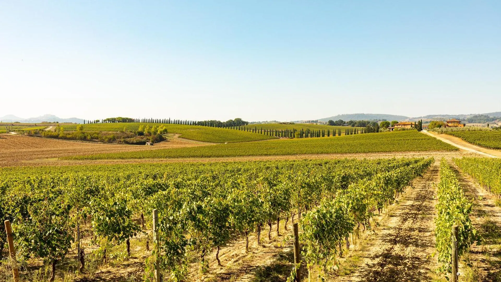 Farm stay Appartamento Moraiolo Montepulciano Italy