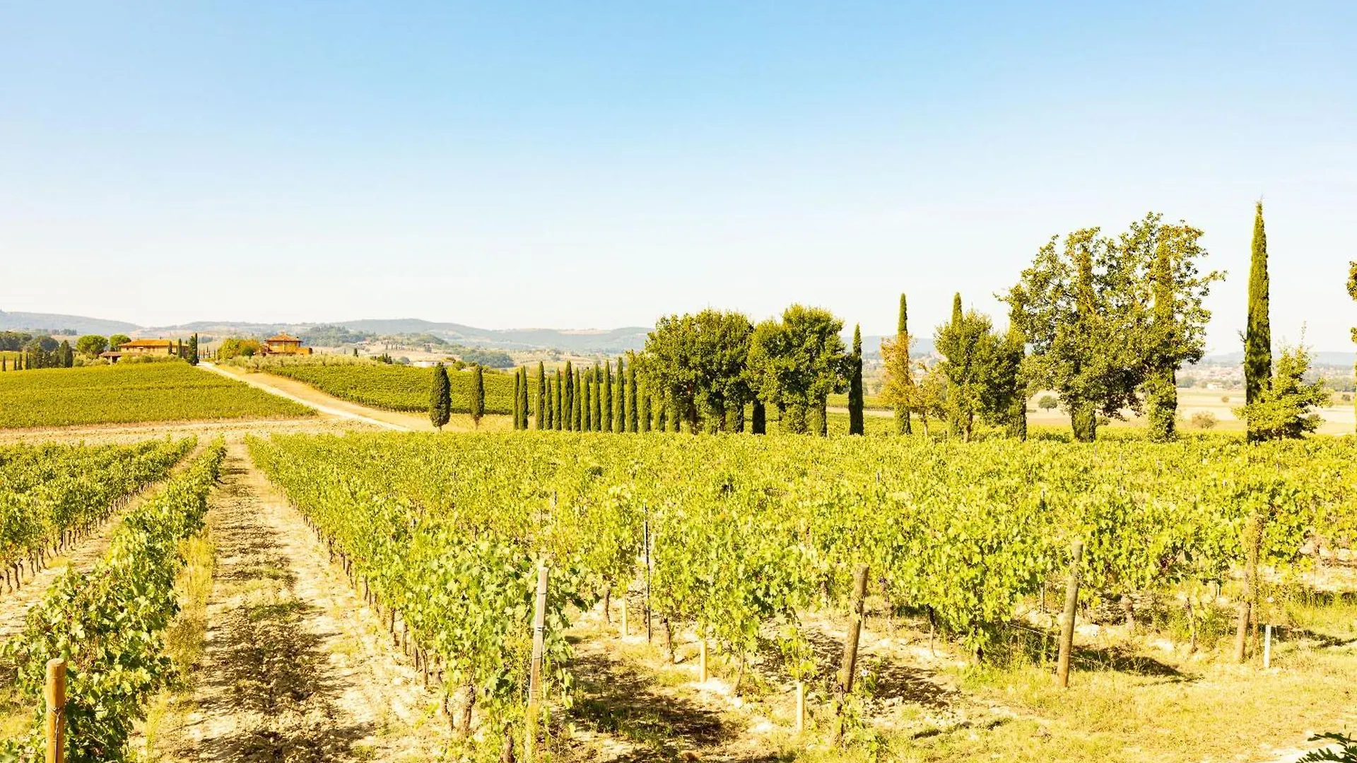 Appartamento Moraiolo Montepulciano